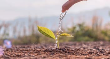 a hand watering a plant, a clear sky in the background