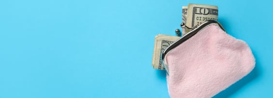 Pink plush wallet with a bit of cash