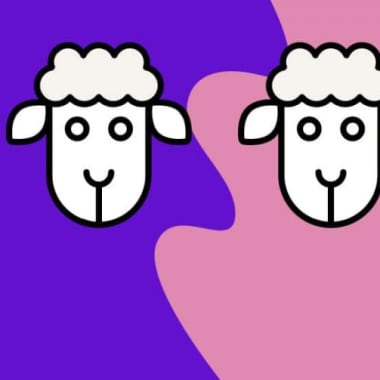 two sheep on a purple and pink background