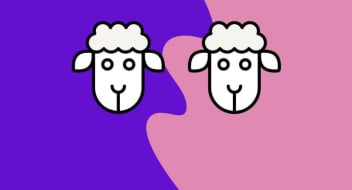 two sheep on a purple and pink background