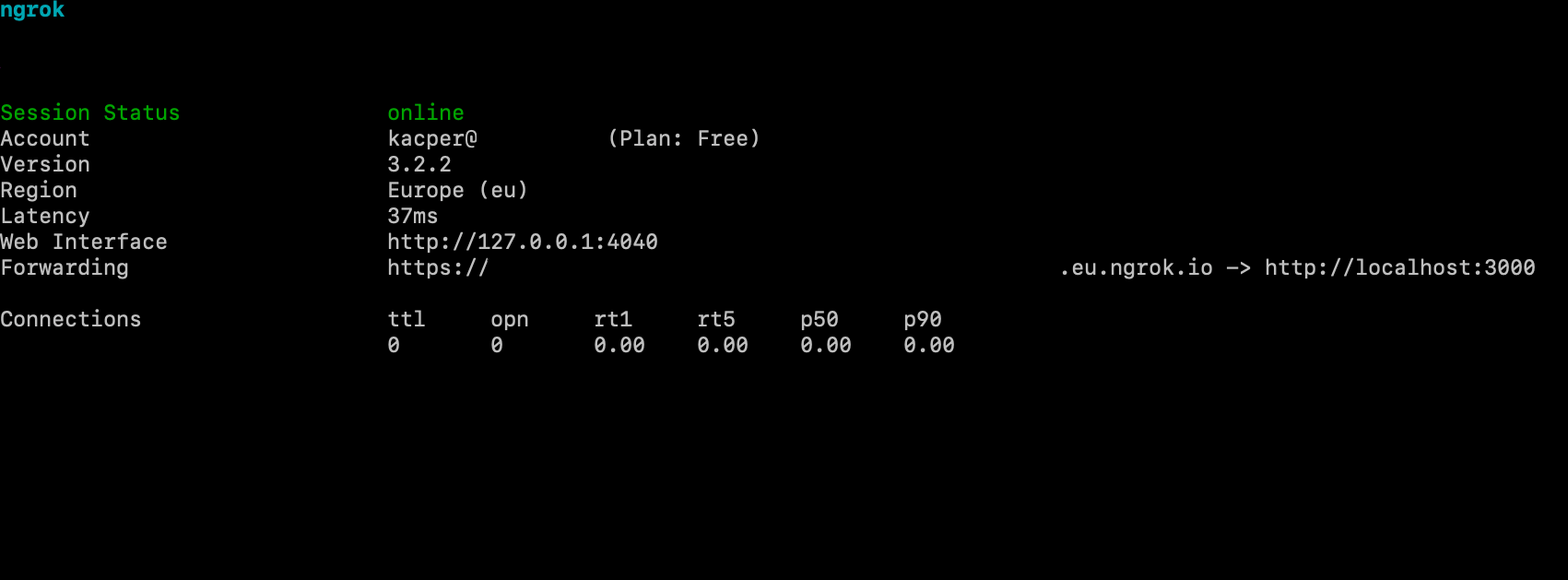 Terminal with ngrok