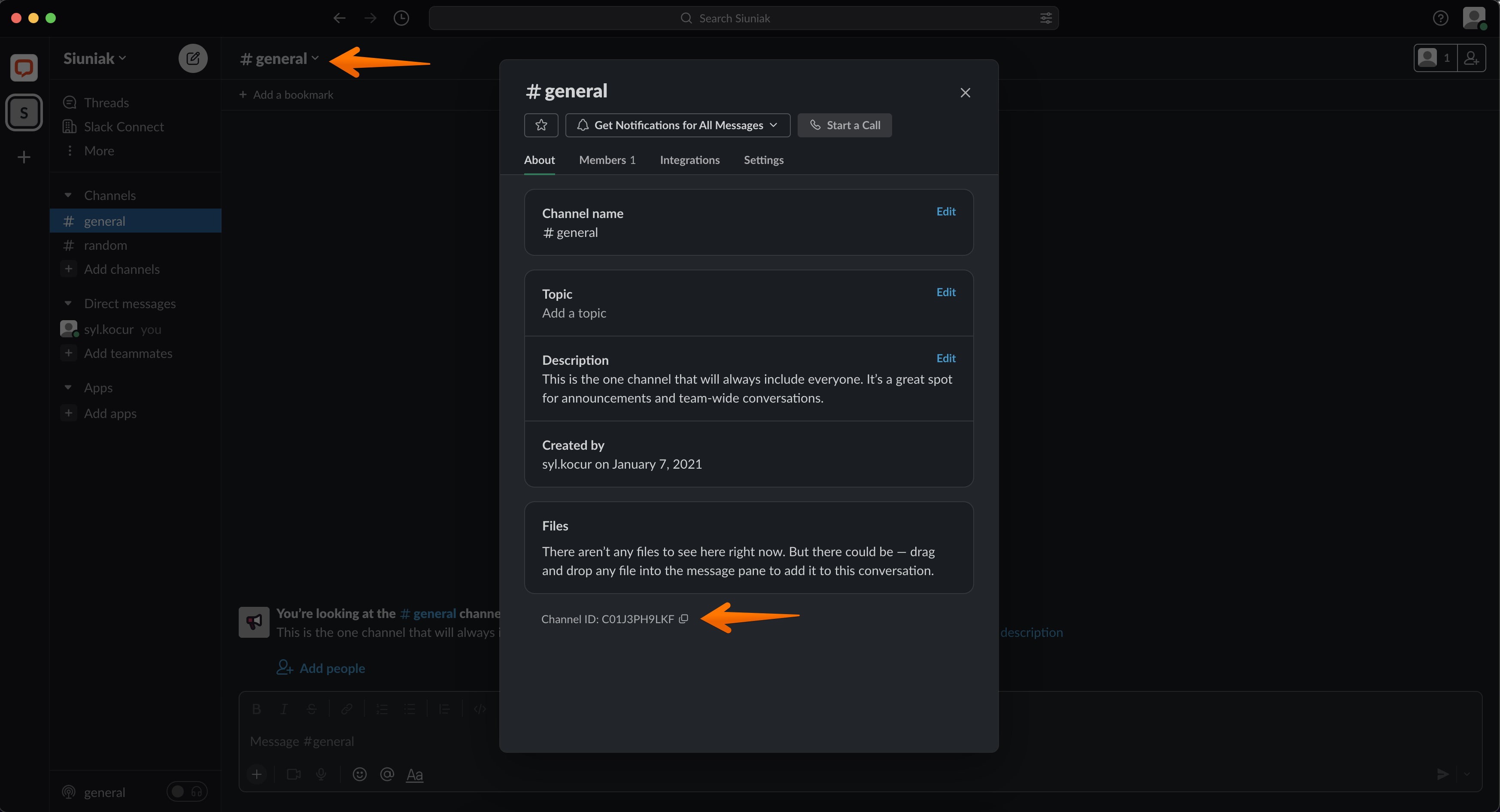 chatbot slack channel id