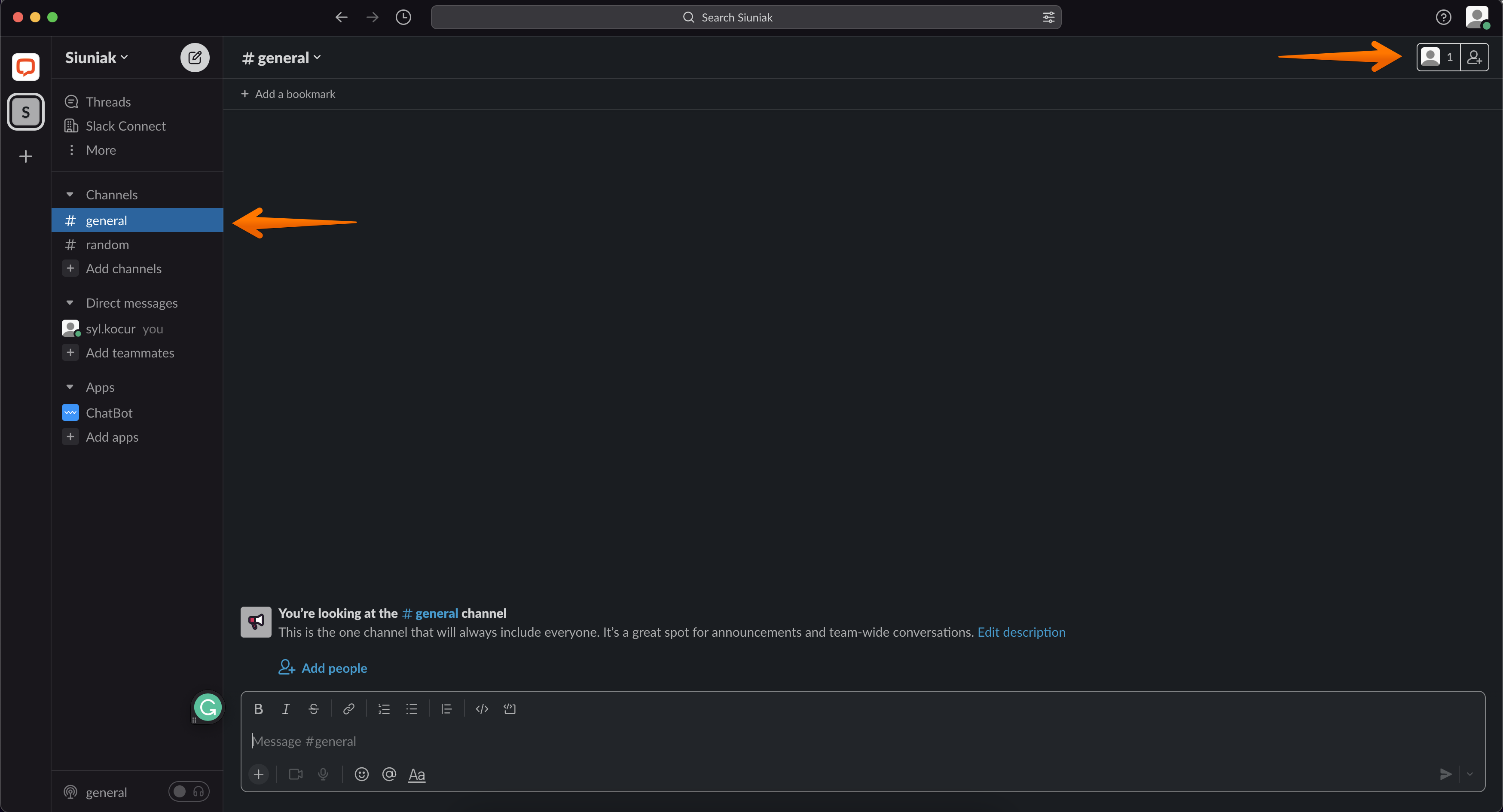 chatbot slack channel